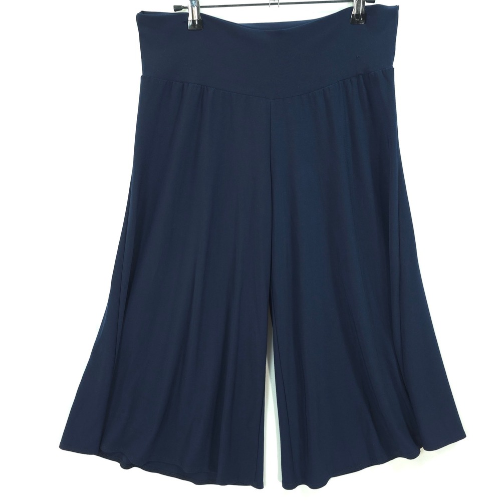 Clara Sunwoo Palazzo Pants Wide Leg Culotte Slinky Blue Women M Travel Lagenlook